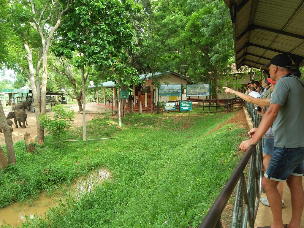 Brookline Safari Resort Udawalawe Dış mekan fotoğraf