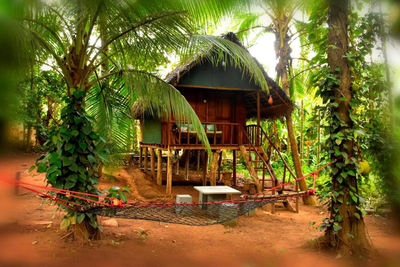 Brookline Safari Resort Udawalawe Dış mekan fotoğraf